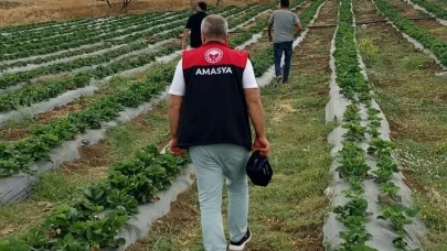 Amasya’da DOKAP Kapsamında Dağıtılan Fidan ve Fideler Kontrol Ediliyor