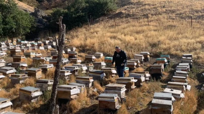 Hırka ve Karamağra Köylerinde Arıcılara Destek Tespiti
