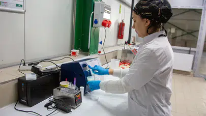 Amasya’da Süt Üretiminde Yeni Dönem