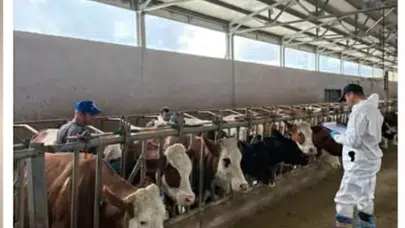 Amasya’da Güvenli Üretim Hamlesi