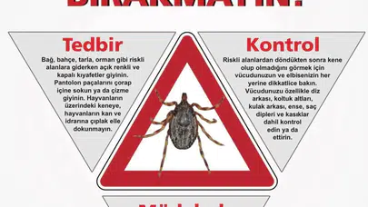 Amasya İl Sağlık Müdürlüğü’nden Hayati Kene Uyarısı