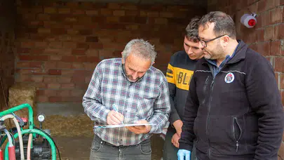 Merzifon’da Üretime 10 Gebe Düve Desteği