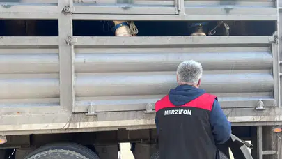Merzifon’da Kurban Bayramı Öncesi Sıkı Denetim!