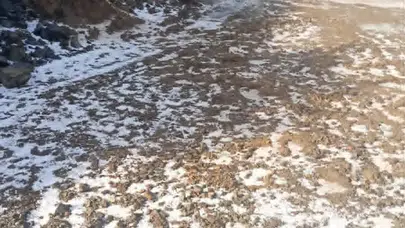 Gümüşhacıköy’ü Dolu Vurdu! Ekili Arazilerde Büyük Hasar İddiası