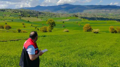 Amasya’da Yem Bitkisi Kontrolleri Sürüyor