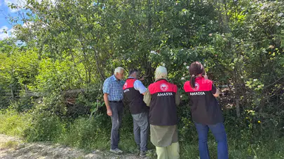 Taşova’da Kahverengi Kokarcaya Samuray Arılı Önlem