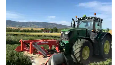 Amasya DSYB'de İkinci Yonca Hasadı Başladı!
