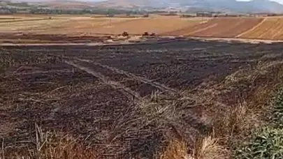 Doluca Köyü'nde Arazi Yangını! Ekili Alan Kül Oldu