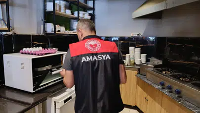 Taşova’da Gıda Denetimleri Aralıksız Sürüyor