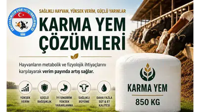 Amasya DSYB’den Verimlilik Hamlesi