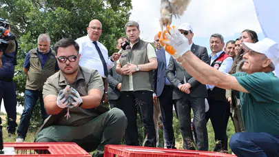 Amasya'da Doğaya Yüzlerce Kınalı Keklik Salındı