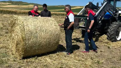 Merzifon’da Yem Bitkisi Kontrolleri Sürüyor