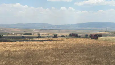Merzifon’da Ekili Arazide Yangın Paniği! İtfaiye Faciayı Önledi
