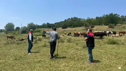 Merzifon’da Meralar Yakın Takipte!
