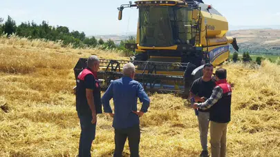Taşova'da Dane Kayıplarına Karşı Tam Mesai