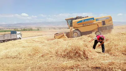 Merzifon'da Biçerdöver Denetimleri Sürüyor