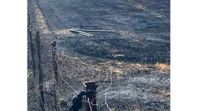 Rüzgar Yangını Büyüttü, İtfaiye Faciayı Önledi!
