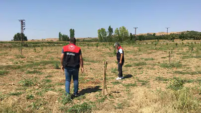 Suluova’da Tarım Arazileri Yakın Takipte!
