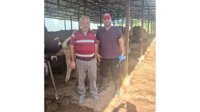 Amasya DSYB’den Hayvancılıkta Genetik Hamle