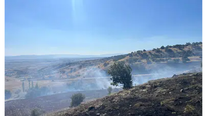 Merzifon’da Alevler İki Köyü Sardı!