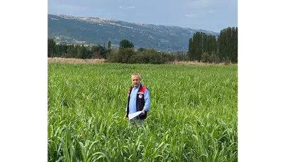 Amasya’da 460 Dekarlık Alanda Hasat Başladı