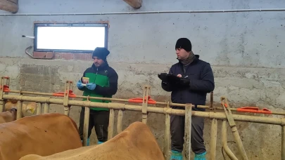 Suluova’da Hastalıksız Üretim Hedefi