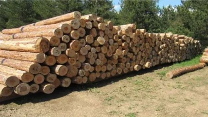 ORMAN EMVALİ İSTİFLEME HİZMETİ ALINACAKTIR