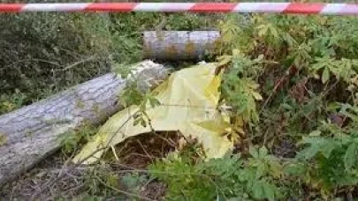 Ağaç keserken canından oldu