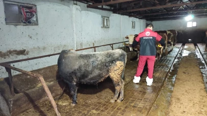 Taşova’da Hayvancılık İşletmelerine Yerinde Denetim