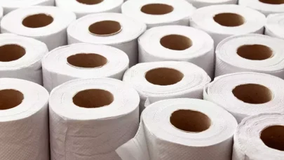 Tuvalet Kağıdınızı Nereye Atmalısınız: Tuvalete mi, Çöpe mi? İkilem Sona Erdi