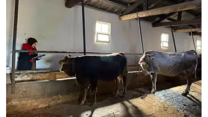 Suluova’da Tarım Ekipleri Sahaya İndi!