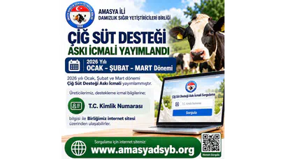 Amasya’da Süt Üreticilerine Destek Müjdesi!