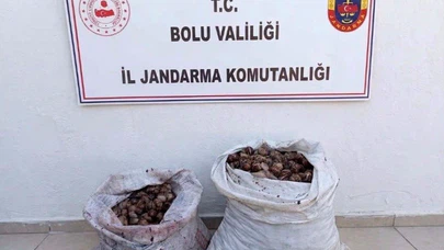 Salyangoz Toplarken Suçüstü Yakalandılar