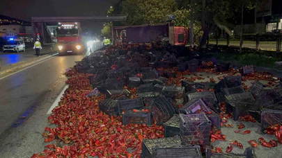 10 Ton Kapya Biber Taşıyan Kamyon Devrildi: 2 Yaralı
