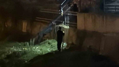 Dereye Düştü, Sahibini Görünce Koştu!