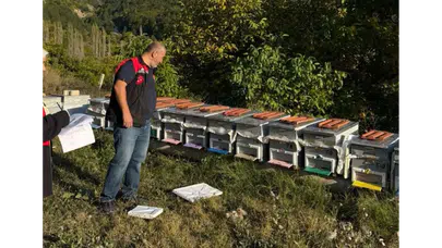 Suluova’da Arıcılık İçin Harekete Geçildi!