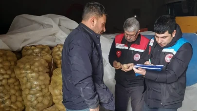 Suluova’da Yemeklik Patates Tohumluk Kontrolleri Tamamlandı