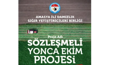 Amasya’da Sözleşmeli Yonca Dönemi