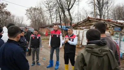 Suluova’da Şap ve Brusella Aşılama Çalışmaları