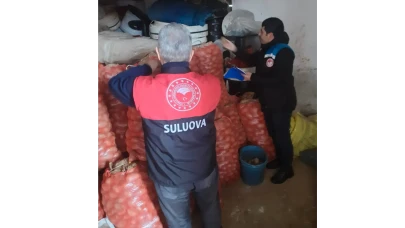 Amasya’da Tohumlara Denetim