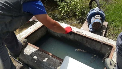 VEKTÖR MÜCADELESİ İÇİN İLAÇ ALIMI