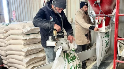 Amasya’da Yem Maliyetler Düşüyor