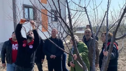 Merzifon’da Budama Eğitimi Düzenlendi