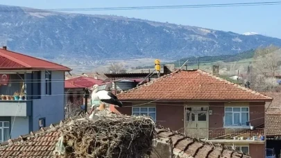 Amasya'da Göç Başladı! Göçmen Misafirler Geliyor!