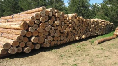 ORMAN EMVALİ İSTİFLEME HİZMETİ ALINACAKTIR