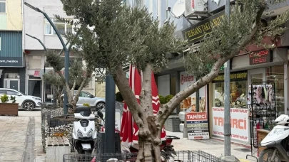 Merzifon’da Doğayla Uyumlu Adım