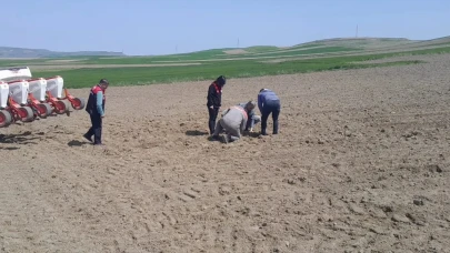 Merzifon’da Çiftçiye Sahada Teknik Destek