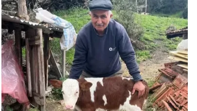 Amasya’da Suni Tohumlamada Başarı