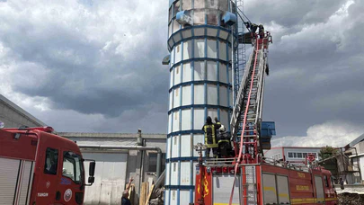 Ahşap Kapı Fabrikasında Yangın Paniği