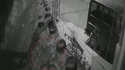 Ayı Köye İndi: Güvenlik Kamerası Anbean Kaydetti